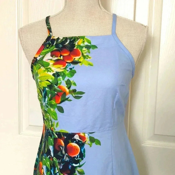 Anthropologie Maeve Orange Bough Blue Citrus Dress Midi Grove - Picture 6 of 11